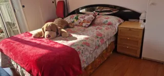 Alquiler de Habitación en Palafrugell