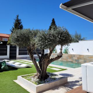 Jardinería y limpieza