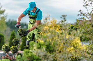 Jardinería y limpieza
