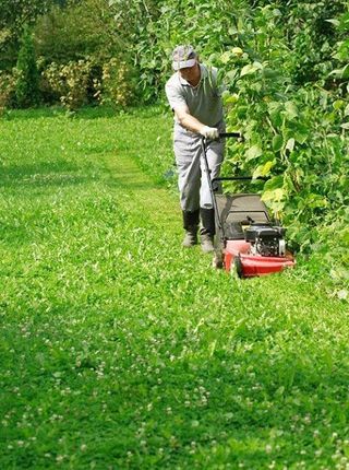 Jardinería y limpieza
