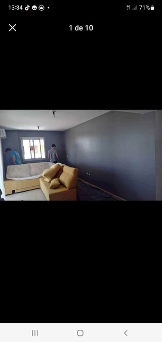 Pintor Manitas bricos, muy económico