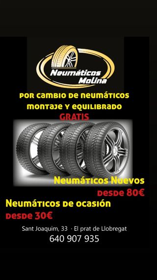 Neumáticos