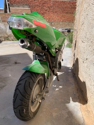 Minimoto Gasolina “Réplica” Kawasaki Ninja