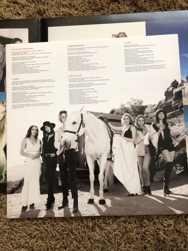 Scie chimiche Lana Del Rey