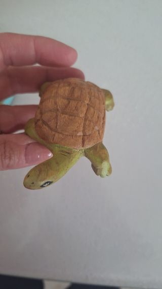 Tartaruga di legno