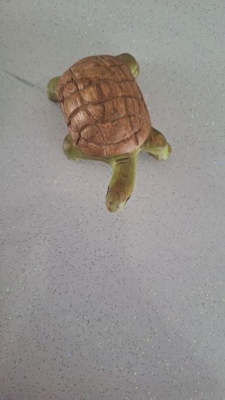 Tartaruga di legno