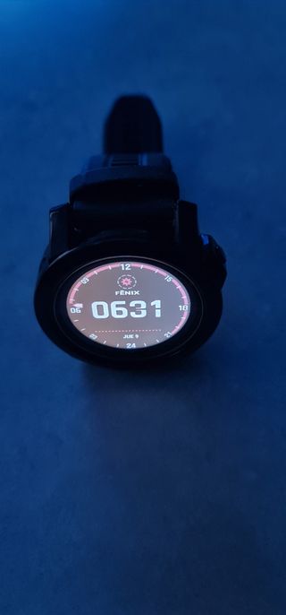 Garmin Fenix 7X Solar Vendo o cambio por reloj aut