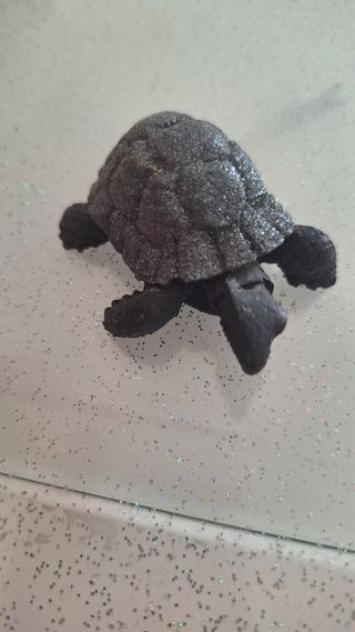 Tartaruga di lavalavica