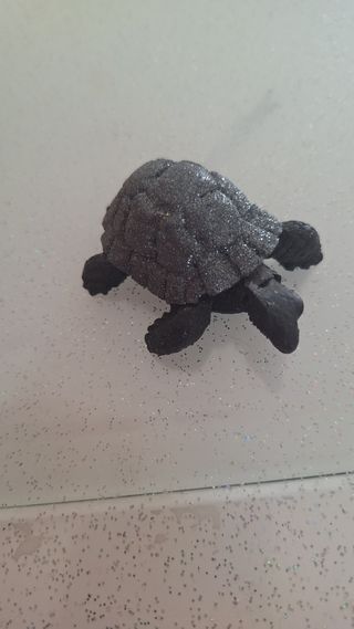 Tartaruga di lavalavica