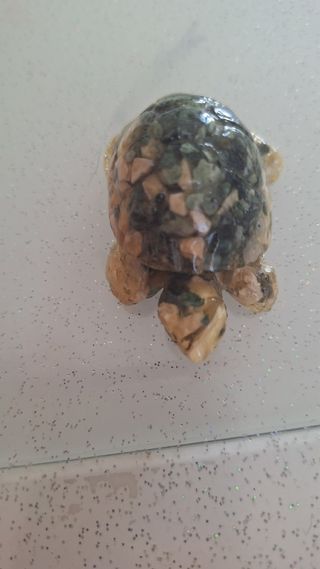 Tartaruga in marmo