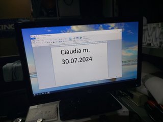 monitor HP 2011X