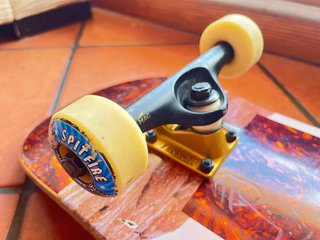 Skate globe