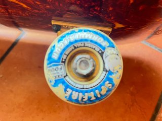 Skate globe