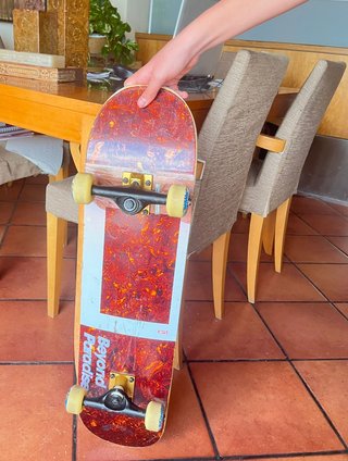 Skate globe