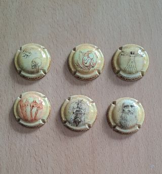 6 placas cava Leonardo Da Vinci