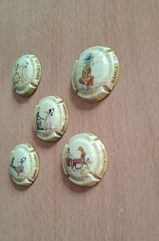 5 placas cava Egipto