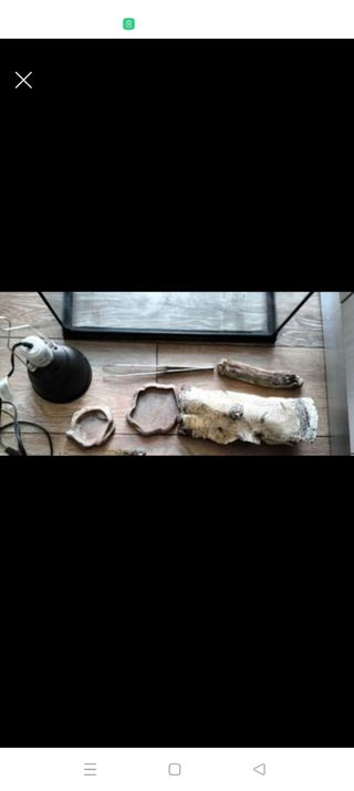 Pack terrario para reptil o tortuga