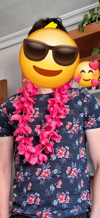 Pack camisetas Hollister