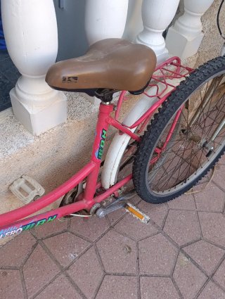 Bicicleta BH vintage