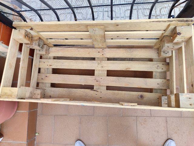 Macetero huerto plantas