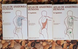 Atlas de Anatomía Humana (3 tomos)