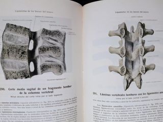 Atlas de Anatomía Humana (3 tomos)