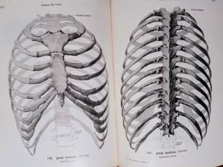 Atlas de Anatomía Humana (3 tomos)