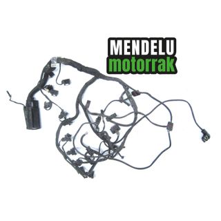 Cableado motor BMW S 1000 R 2014-2016 (S1000R)
