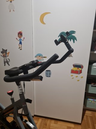 Bicicleta de spinin BH