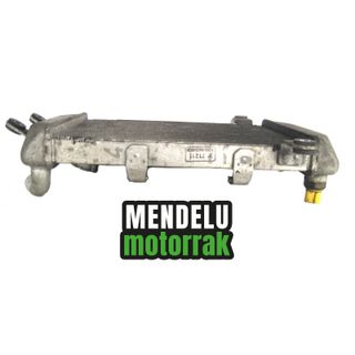 Radiador Suzuki Burgman 400 250 1998-2002