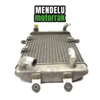 Radiador Suzuki Burgman 400 250 1998-2002