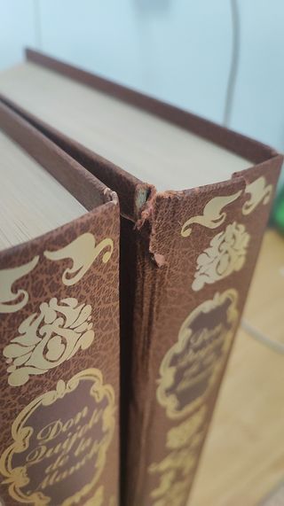 El ingenioso Hidalgo Don Quijote de la