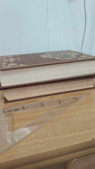 El ingenioso Hidalgo Don Quijote de la