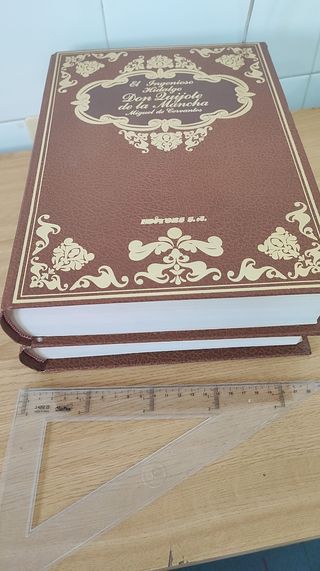 El ingenioso Hidalgo Don Quijote de la