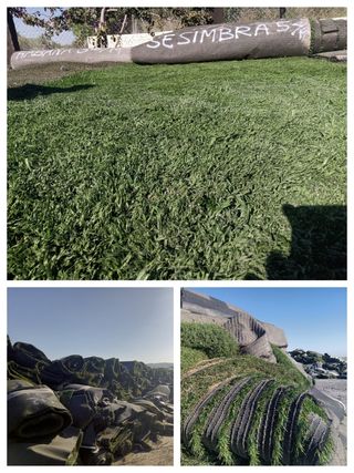 Decora con césped artificial