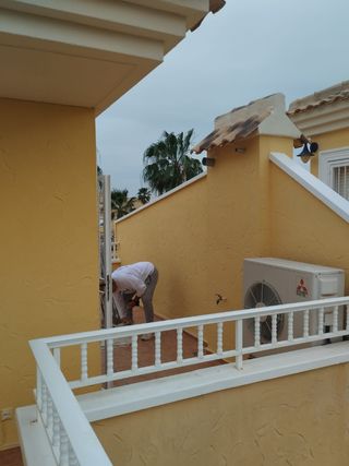 Pintor oficial 
