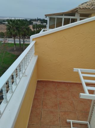 Pintor oficial 