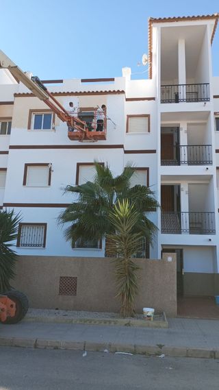 Pintor oficial 