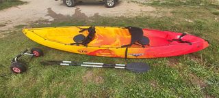 Kayak