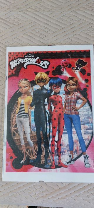 Puzzle Lady Bug