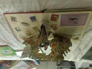 Libro come que te come