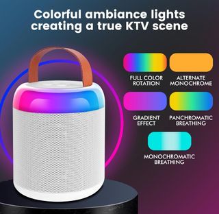 Karaoke portátil 2 micros NUEVO