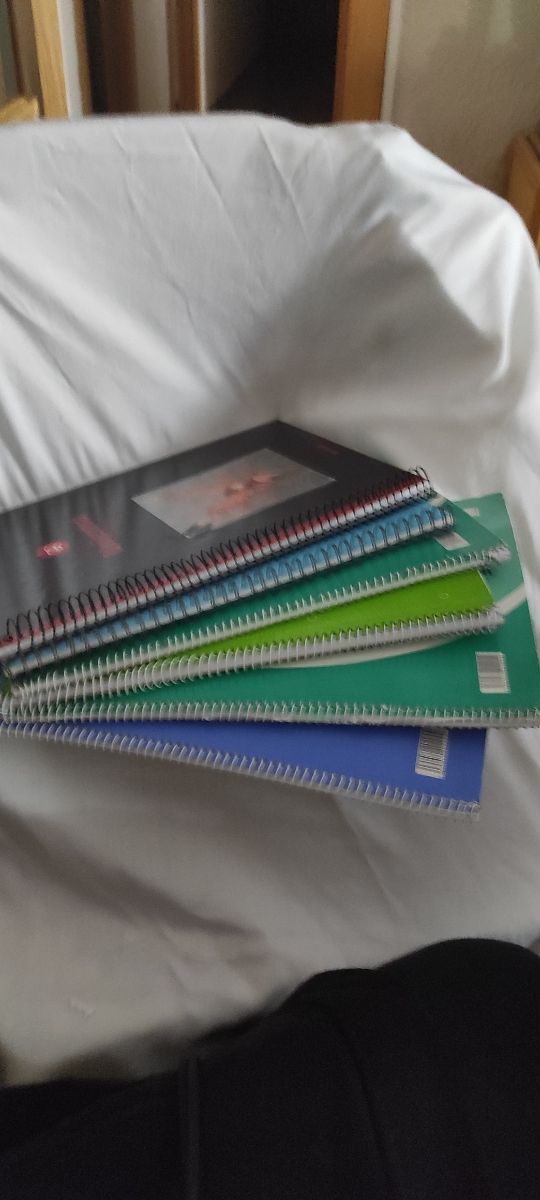 12 cuadernos de cuadritos limpios