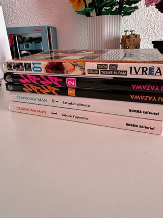 Mangas mixtos