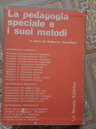 La Pedagogia Speciali E I Suoi Metodi Zavalloni Ro