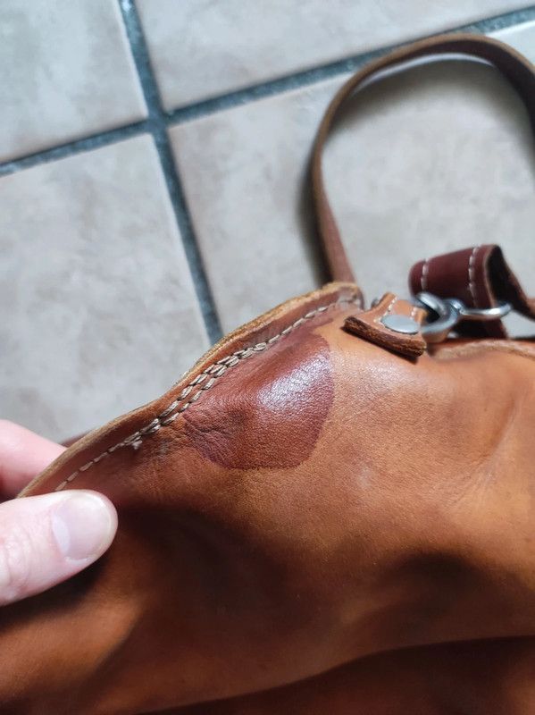 Borsa pelle marrone donna coccola