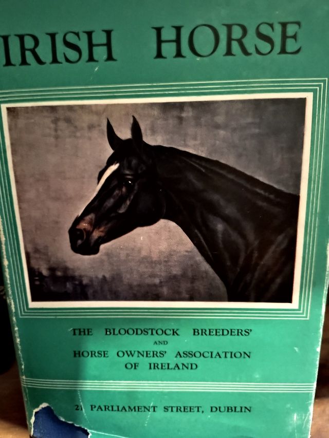 Il cavallo irlandese 1950 vol XVIII Boodstock