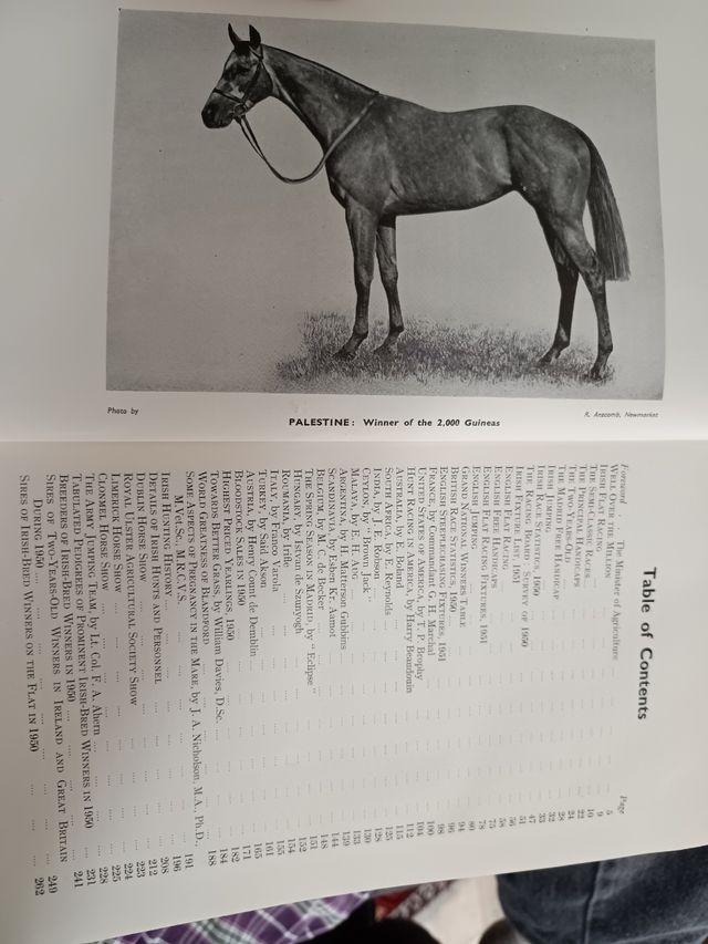 Il cavallo irlandese 1950 vol XVIII Boodstock