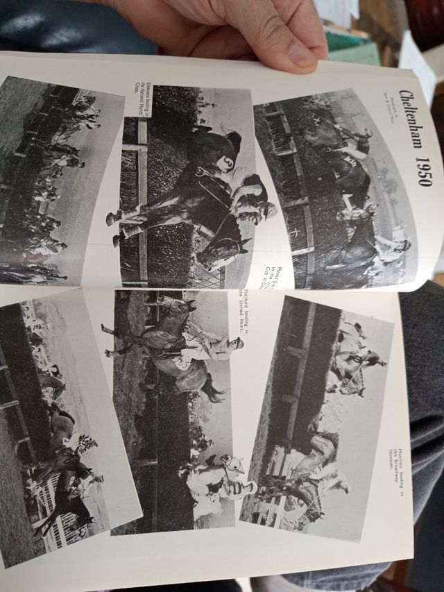 Il cavallo irlandese 1950 vol XVIII Boodstock