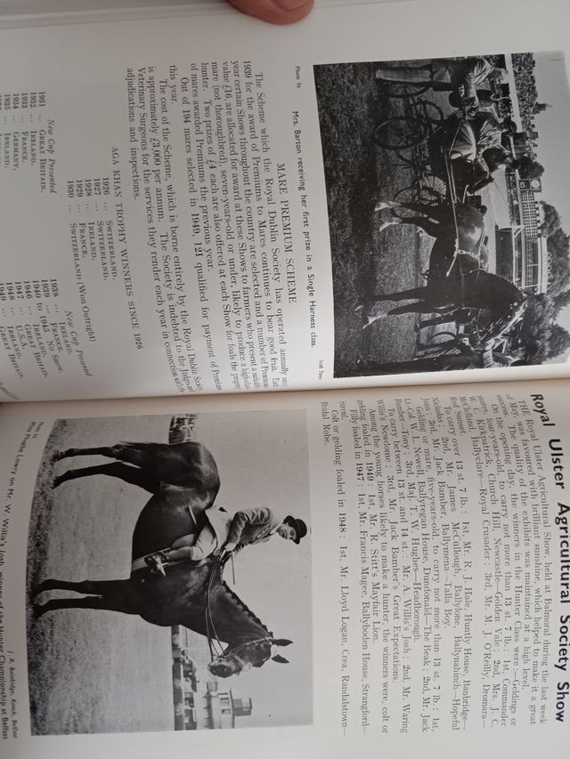 Il cavallo irlandese 1950 vol XVIII Boodstock
